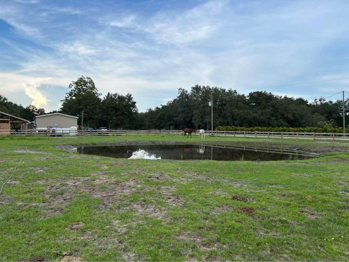 The pond and pasture